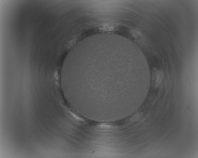 X0000069790614200605261658