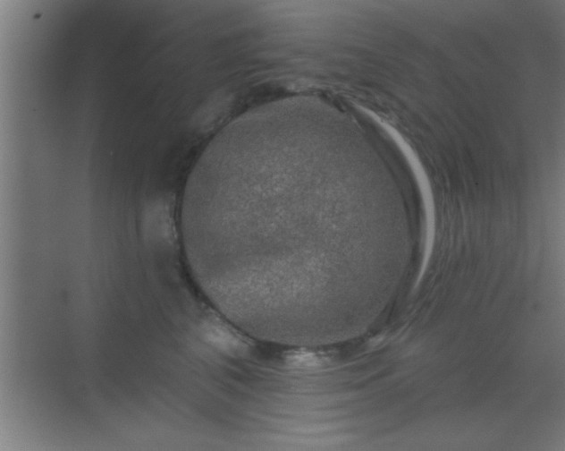 X0000069790616200605261658