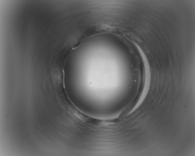 X0000069790617200605261658