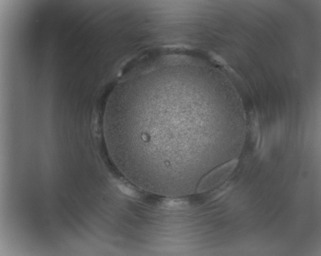 X0000069790619200605261658