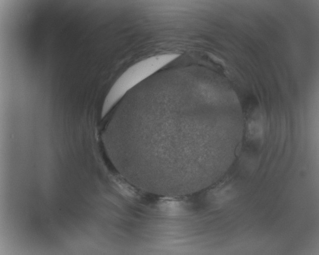 X0000069790620200605261658