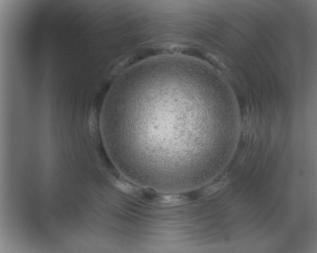 X0000069790623200605261658