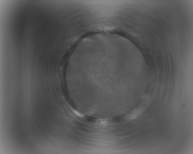 X0000069790624200605261658