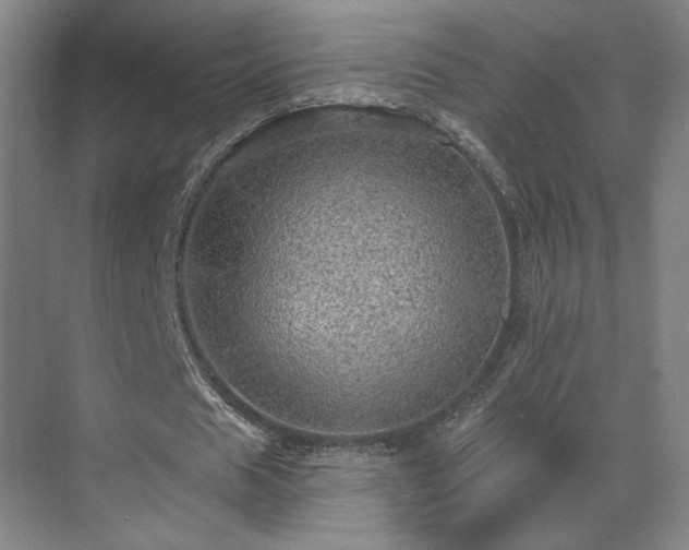 X0000069790625200605261657