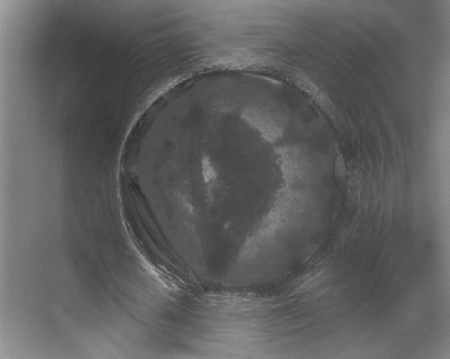 X0000069790626200605261657