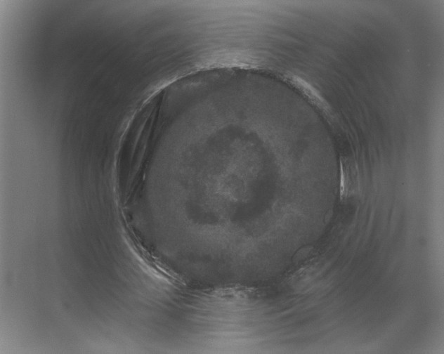 X0000069790627200605261657