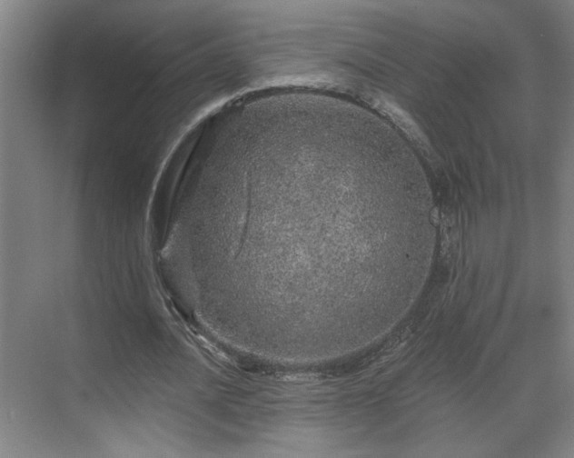 X0000069790628200605261657