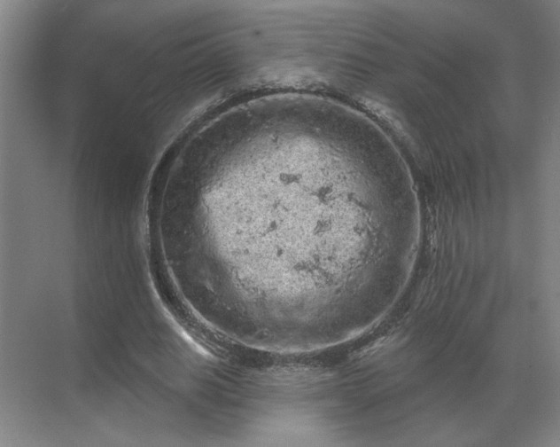 X0000069790630200605261657