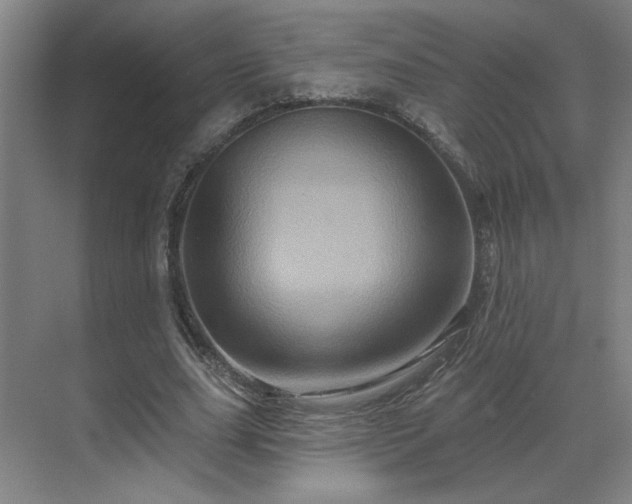 X0000069790631200605261657