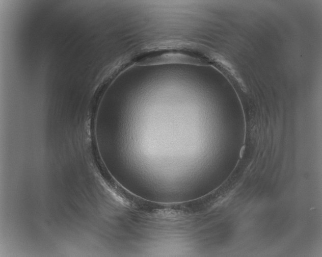 X0000069790633200605261657