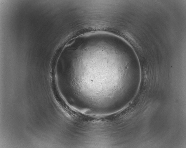 X0000069790634200605261657