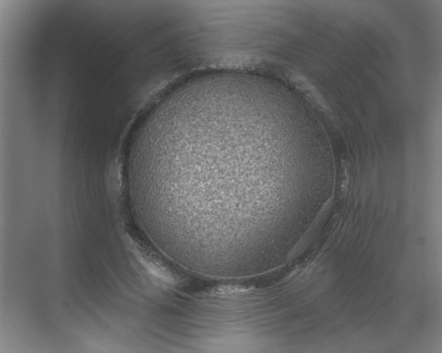 X0000069790636200605261658