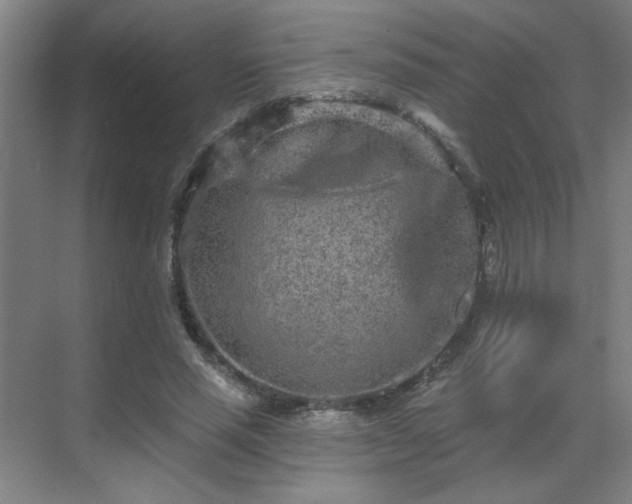 X0000069790637200605261658