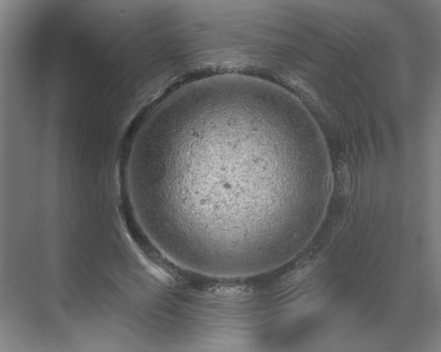 X0000069790638200605261658