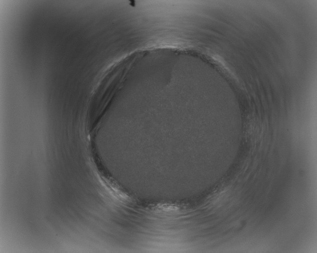 X0000069790640200605261658