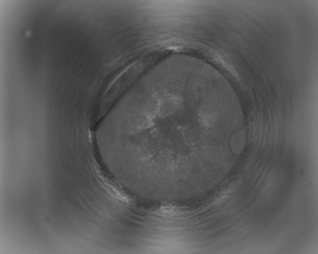 X0000069790641200605261658