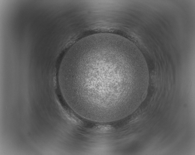 X0000069790642200605261658