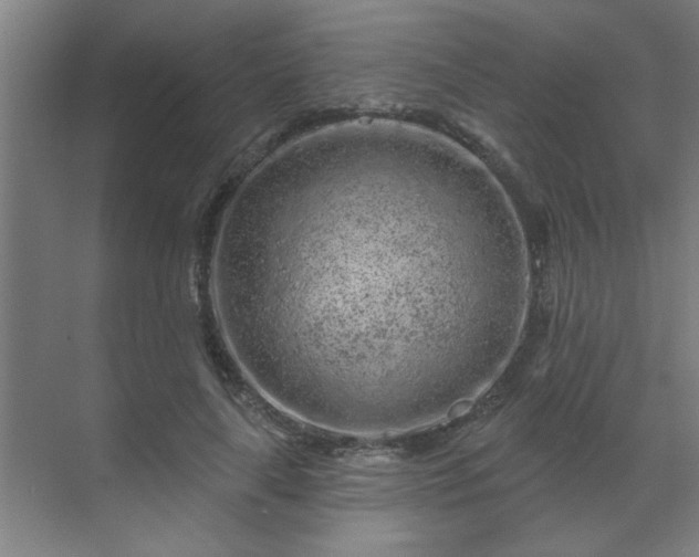 X0000069790643200605261658