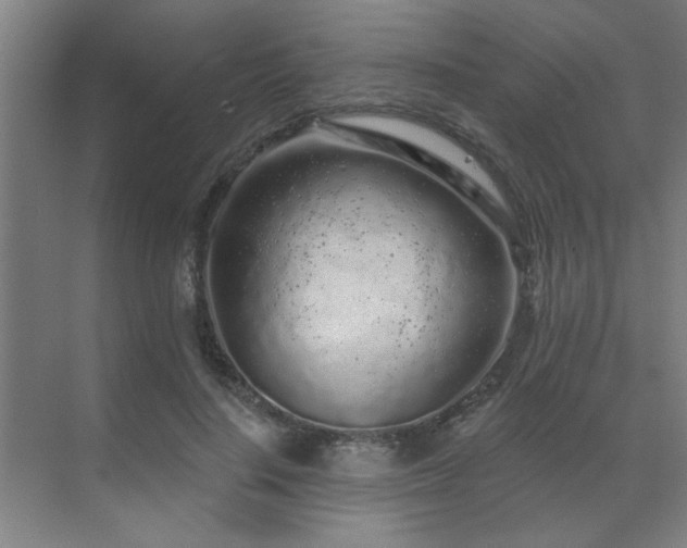 X0000069790644200605261658