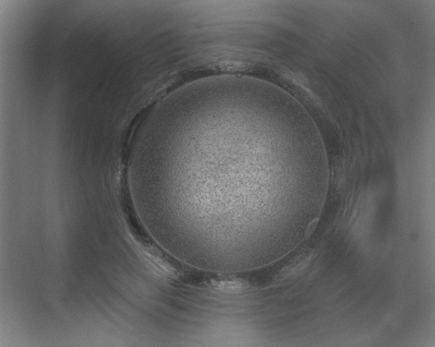 X0000069790645200605261658