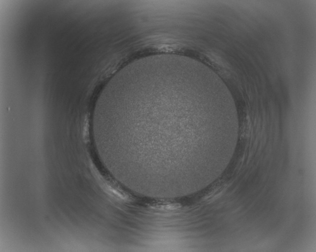 X0000069790646200605261658