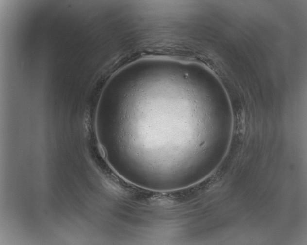 X0000069790648200605261658