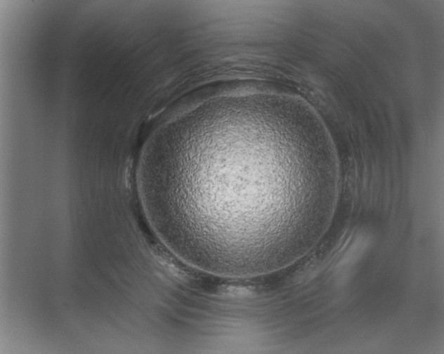 X0000069790649200605261658