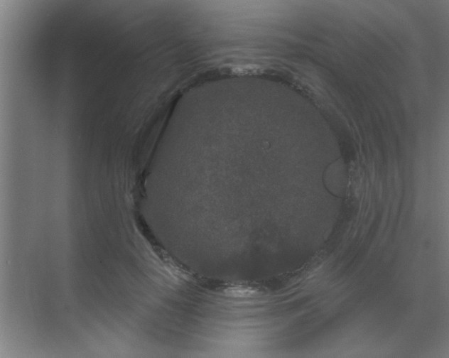 X0000069790650200605261658