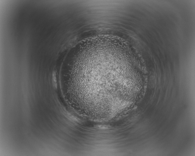 X0000069790654200605261658