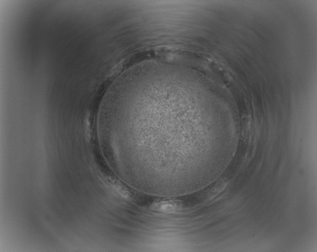 X0000069790655200605261658