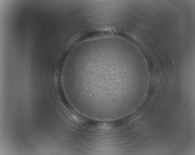 X0000069790656200605261658