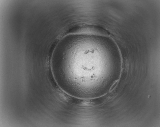 X0000069790657200605261658