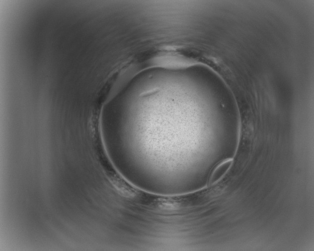 X0000069790658200605261658