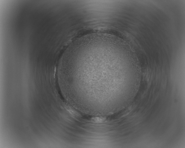 X0000069790660200605261658