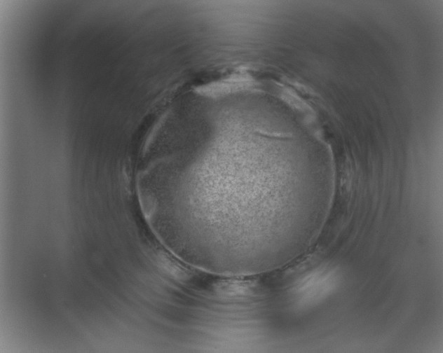 X0000069790661200605261658