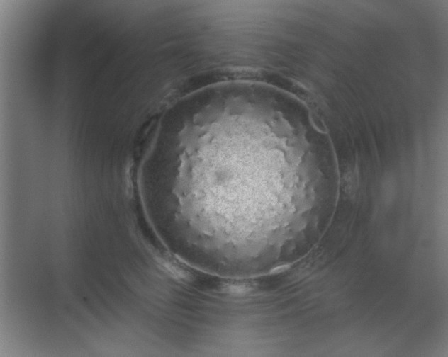 X0000069790662200605261658