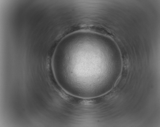 X0000069790664200605261658