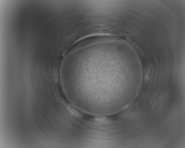 X0000069790666200605261658