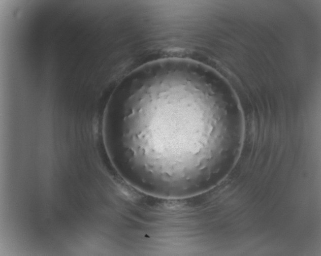 X0000069790668200605261658