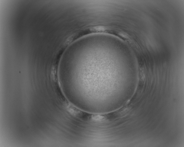 X0000069790669200605261658