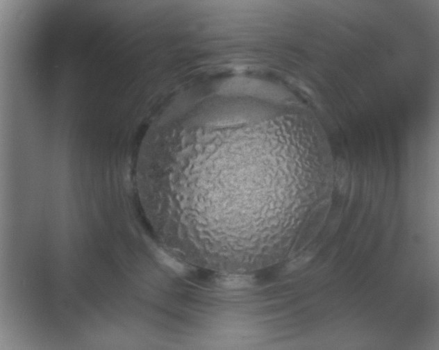 X0000069790670200605261658