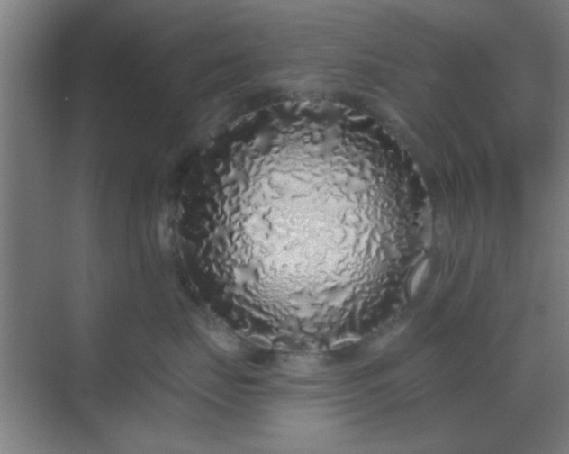 X0000069790671200605261658