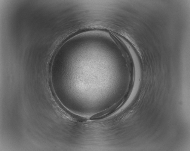 X0000069790673200605261657