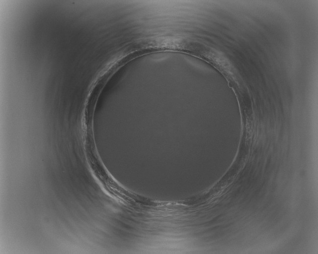 X0000069790674200605261657