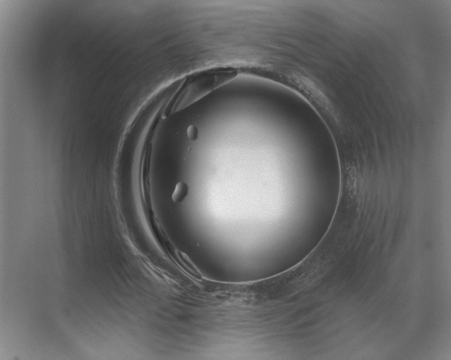 X0000069790676200605261657