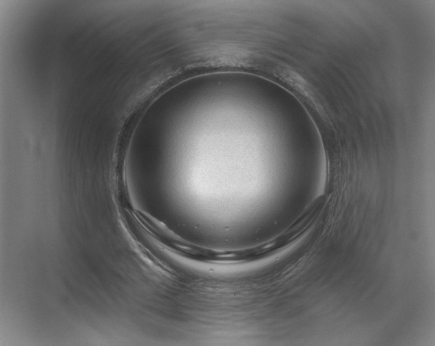 X0000069790677200605261657