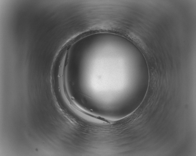 X0000069790680200605261657