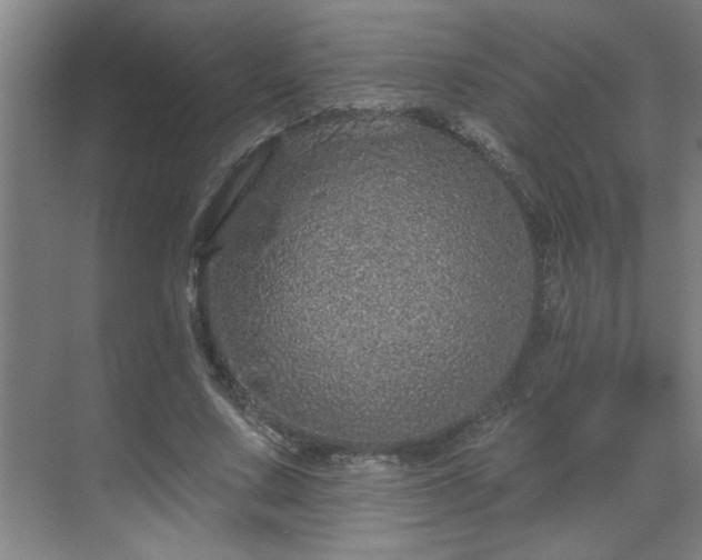 X0000069790683200605261657