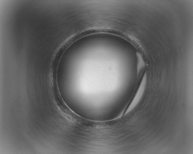 X0000069790684200605261657