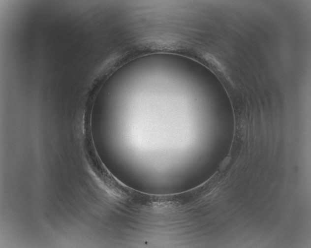 X0000069790686200605261657